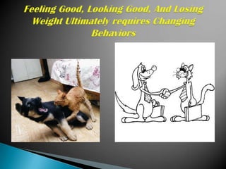 Feeling Good, Looking Good, And Losing Weight Ultimately requires Changing Behaviors