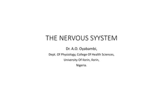 THE NERVOUS SYYSTEM
Dr. A.O. Oyabambi,
Dept. Of Physiology, College Of Health Sciences,
University Of Ilorin, Ilorin,
Nigeria.
 