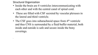 Structural Organization
• Inside the brain are 4 ventricles intercommunicating with
each other and with the central canal of spinal cord.
• These are filled with CSF secreted by vascular plexuses in
the lateral and third ventricle.
• The CSF goes into subarachnoid space from 4th ventricle
and thus CNS is surrounded by a fluid buffer material, both
inside and outside is safe and secure inside the bony
coverings.
.
 