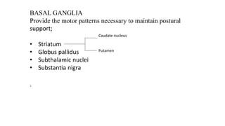 BASAL GANGLIA
Provide the motor patterns necessary to maintain postural
support;
• Striatum
• Globus pallidus
• Subthalamic nuclei
• Substantia nigra
.
Putamen
Caudate nucleus
 