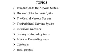 TOPICS
 Introduction to the Nervous System
 Division of the Nervous System
 The Central Nervous System
 The Peripheral Nervous System
 Cutaneous receptors
 Sensory or Ascending tracts
 Motor or Descending tracts
 Cerebrum
 Basal ganglia
 