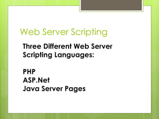 Web Server Scripting
Three Different Web Server
Scripting Languages:
PHP
ASP.Net
Java Server Pages
 