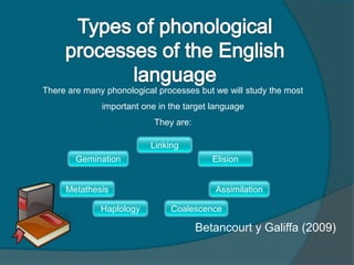 There are many phonological processes but we will study the most
important one in the target language
They are:
Betancourt y Galiffa (2009)
Haplology Coalescence
Gemination
Metathesis
Elision
Assimilation
Linking
 