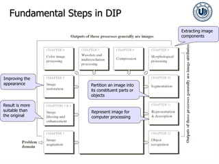 Fundamental Steps in DIP
Result is more
suitable than
the original
Improving the
appearance
Extracting image
components
Partition an image into
its constituent parts or
objects
Represent image for
computer processing
 