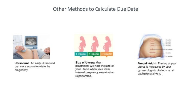 Pregnancy edc calculator