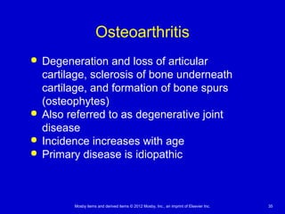 Mosby items and derived items © 2012 Mosby, Inc., an imprint of Elsevier Inc. 35
Osteoarthritis
 Degeneration and loss of articular
cartilage, sclerosis of bone underneath
cartilage, and formation of bone spurs
(osteophytes)
 Also referred to as degenerative joint
disease
 Incidence increases with age
 Primary disease is idiopathic
 