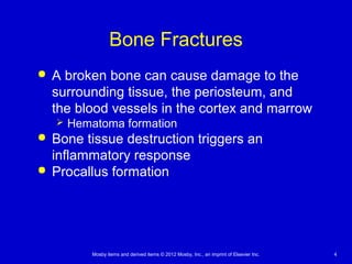 Mosby items and derived items © 2012 Mosby, Inc., an imprint of Elsevier Inc. 4
Bone Fractures
 A broken bone can cause damage to the
surrounding tissue, the periosteum, and
the blood vessels in the cortex and marrow
 Hematoma formation
 Bone tissue destruction triggers an
inflammatory response
 Procallus formation
 