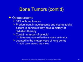 Mosby items and derived items © 2012 Mosby, Inc., an imprint of Elsevier Inc. 80
Bone Tumors (cont’d)
 Osteosarcoma
 38% of bone tumors
 Predominant in adolescents and young adults;
occurs in seniors if they have a history of
radiation therapy
 Contain masses of osteoid
• Streamers: noncalcified bone matrix and callus
 Located in the metaphyses of long bones
• 50% occur around the knees
 