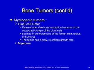 Mosby items and derived items © 2012 Mosby, Inc., an imprint of Elsevier Inc. 84
Bone Tumors (cont’d)
 Myelogenic tumors:
 Giant cell tumor
• Causes extensive bone resorption because of the
osteoclastic origin of the giant cells
• Located in the epiphyses of the femur, tibia, radius,
or humerus
• The tumor has a slow, relentless growth rate
 Myeloma
 