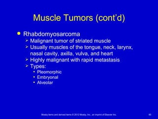 Mosby items and derived items © 2012 Mosby, Inc., an imprint of Elsevier Inc. 85
Muscle Tumors (cont’d)
 Rhabdomyosarcoma
 Malignant tumor of striated muscle
 Usually muscles of the tongue, neck, larynx,
nasal cavity, axilla, vulva, and heart
 Highly malignant with rapid metastasis
 Types:
• Pleomorphic
• Embryonal
• Alveolar
 