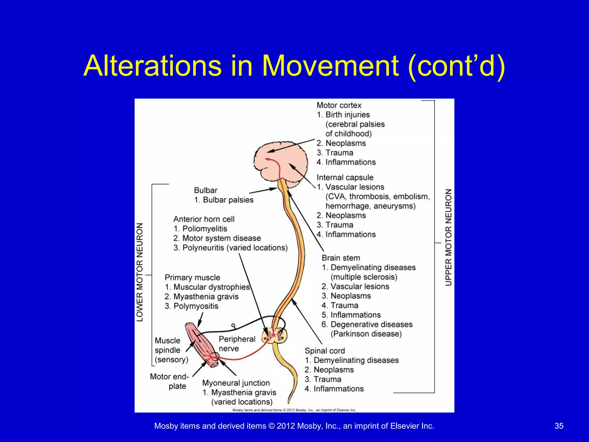 Mosby items and derived items © 2012 Mosby, Inc., an imprint of Elsevier Inc. 3535
Alterations in Movement (cont’d)
 