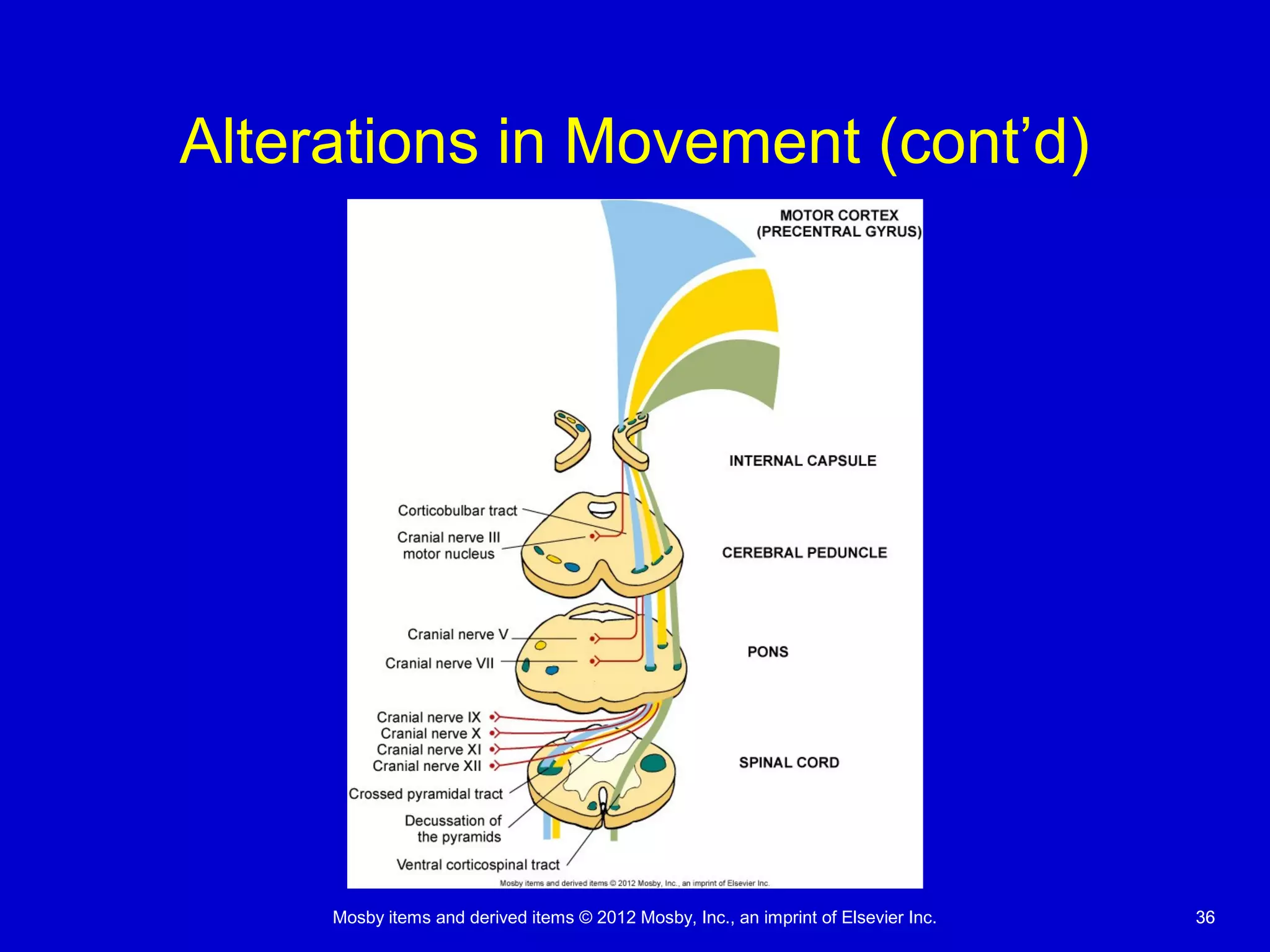 Mosby items and derived items © 2012 Mosby, Inc., an imprint of Elsevier Inc. 3636
Alterations in Movement (cont’d)
 
