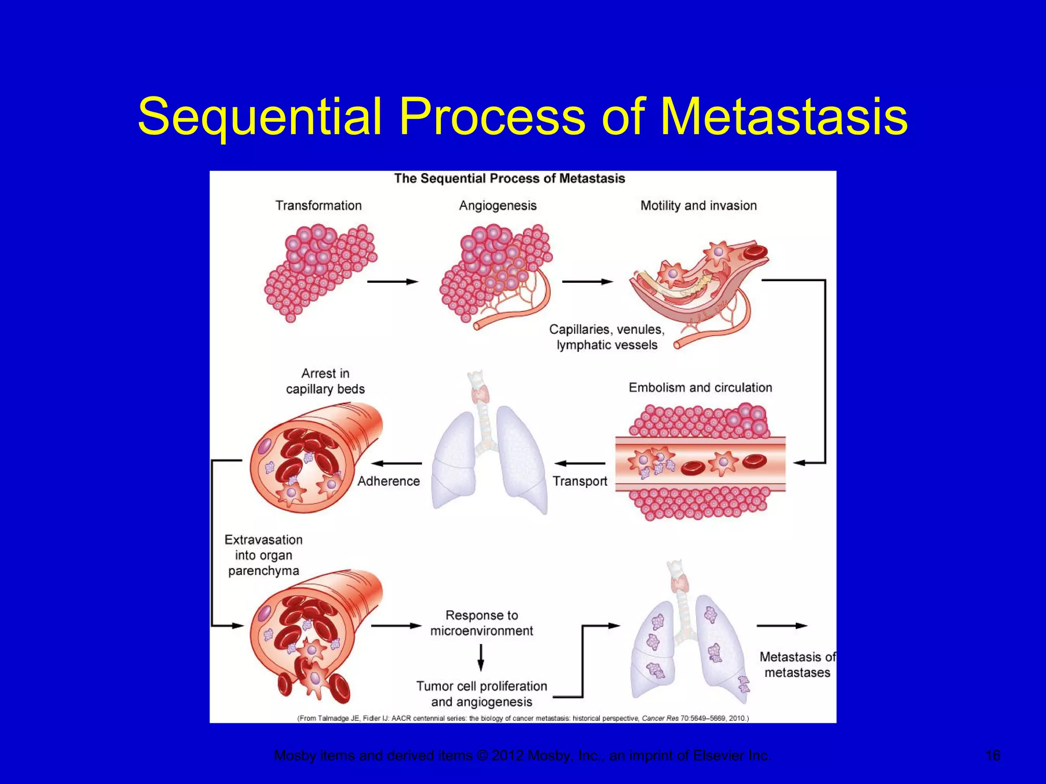 Mosby items and derived items © 2012 Mosby, Inc., an imprint of Elsevier Inc. 16
Sequential Process of Metastasis
 