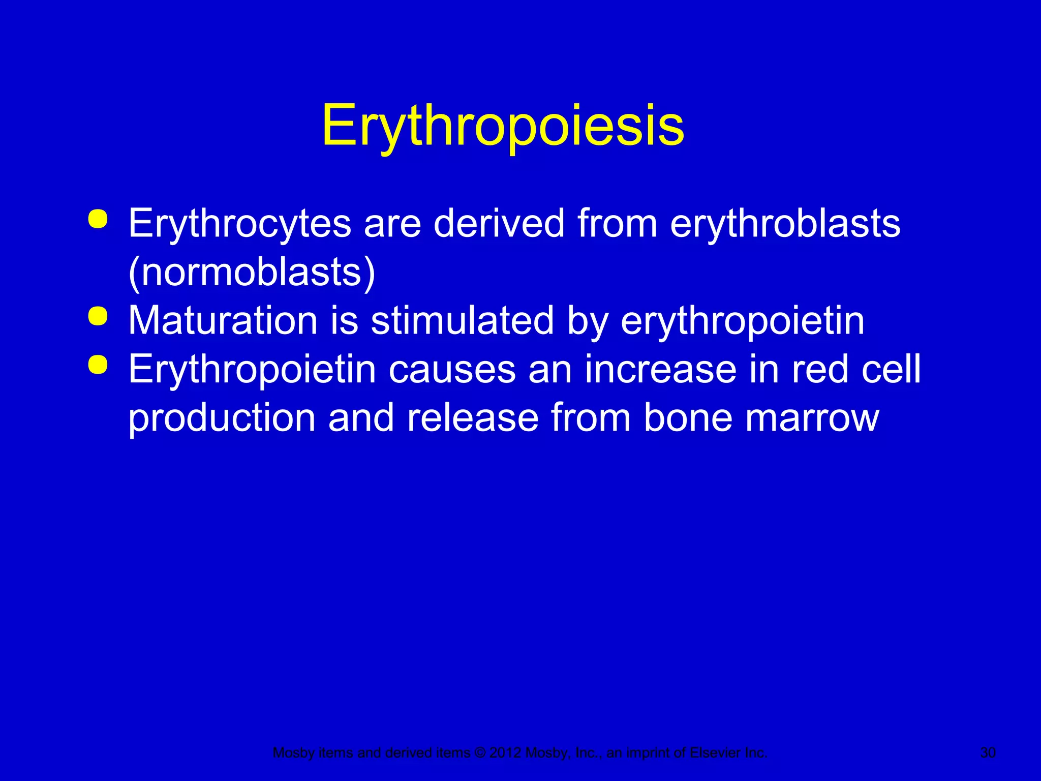 Mosby items and derived items © 2012 Mosby, Inc., an imprint of Elsevier Inc. 30
Erythropoiesis
 Erythrocytes are derived from erythroblasts
(normoblasts)
 Maturation is stimulated by erythropoietin
 Erythropoietin causes an increase in red cell
production and release from bone marrow
 