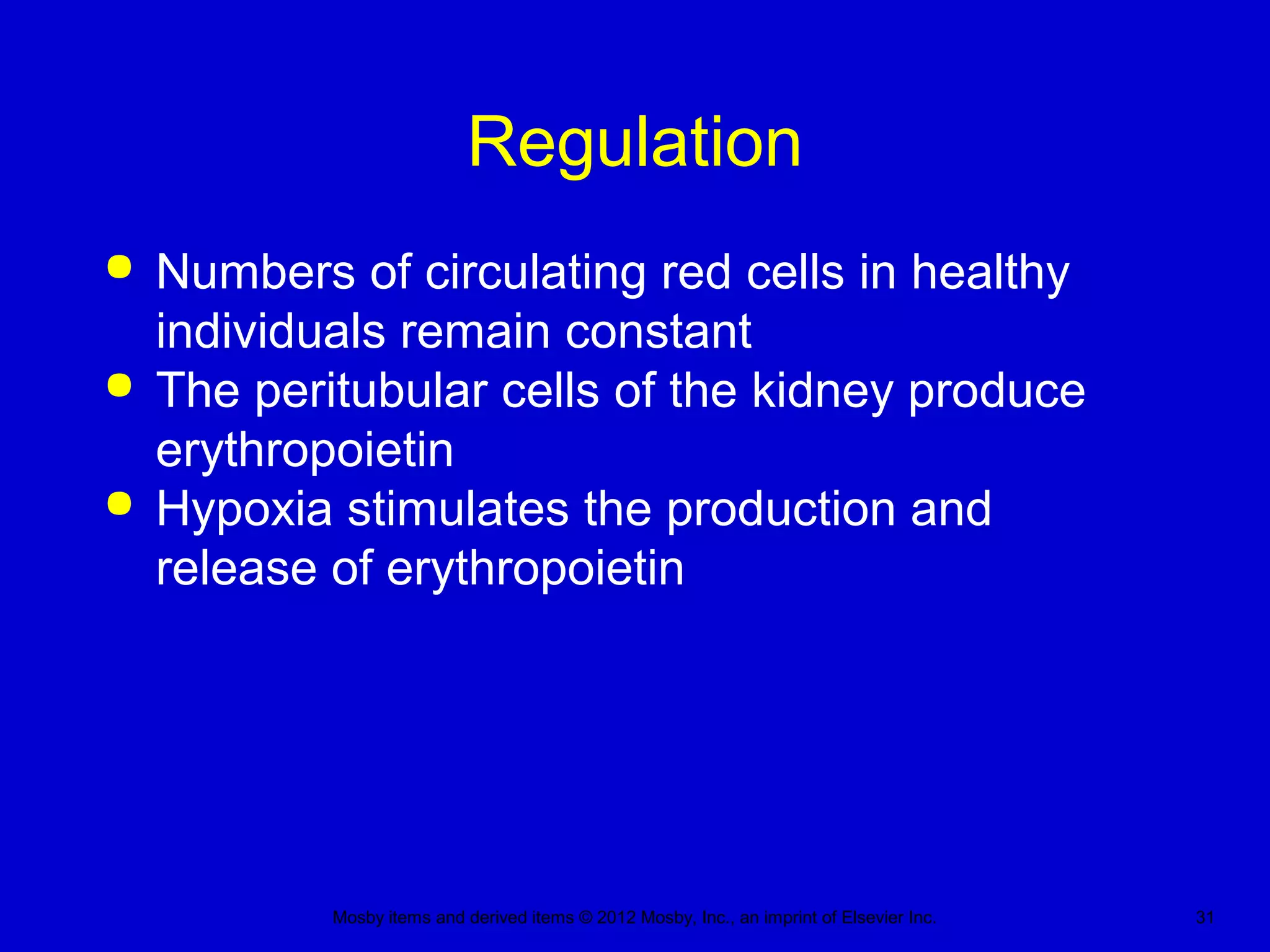 Mosby items and derived items © 2012 Mosby, Inc., an imprint of Elsevier Inc. 31
Regulation
 Numbers of circulating red cells in healthy
individuals remain constant
 The peritubular cells of the kidney produce
erythropoietin
 Hypoxia stimulates the production and
release of erythropoietin
 