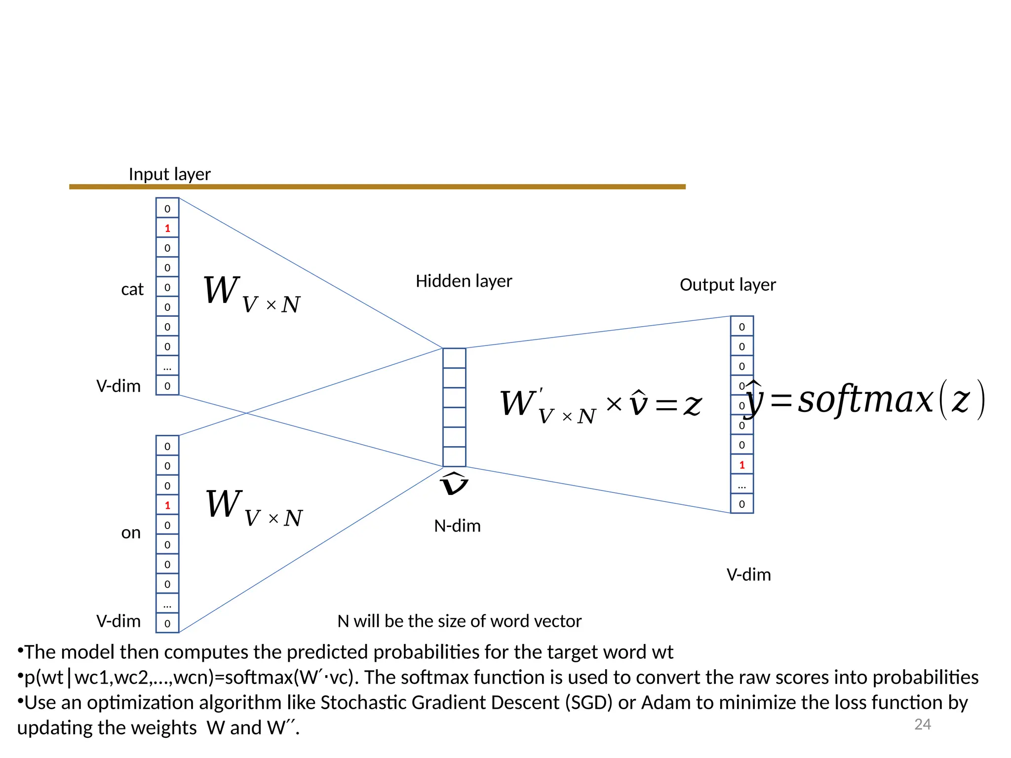 24
0
1
0
0
0
0
0
0
…
0
0
0
0
1
0
0
0
0
…
0
cat
on
0
0
0
0
0
0
0
1
…
0
Input layer
Hidden layer Output layer
𝑊𝑉 × 𝑁
𝑊𝑉 × 𝑁
V-dim
V-dim
N-dim
𝑊𝑉 × 𝑁
′
×^
𝑣=𝑧
V-dim
N will be the size of word vector
^
𝑣
^
𝑦=𝑠𝑜𝑓𝑡𝑚𝑎𝑥(𝑧)
•The model then computes the predicted probabilities for the target word wt
•p(wt wc1,wc2,…,wcn)=softmax(W vc). The softmax function is used to convert the raw scores into probabilities
∣ ′⋅
•Use an optimization algorithm like Stochastic Gradient Descent (SGD) or Adam to minimize the loss function by
updating the weights W and W .
′′
 