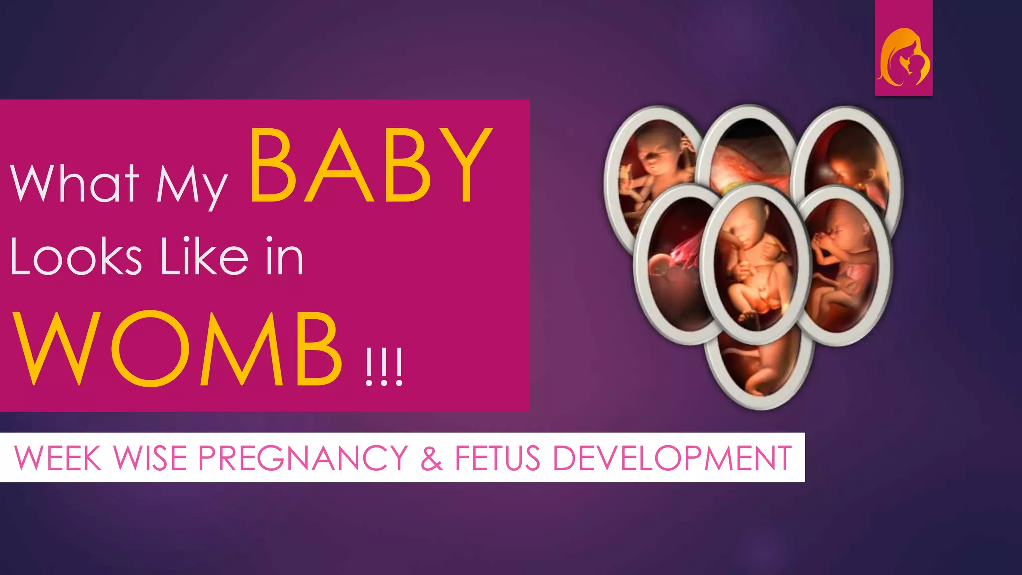 What My BABY
Looks Like in
WOMB!!!
WEEK WISE PREGNANCY & FETUS DEVELOPMENT
 