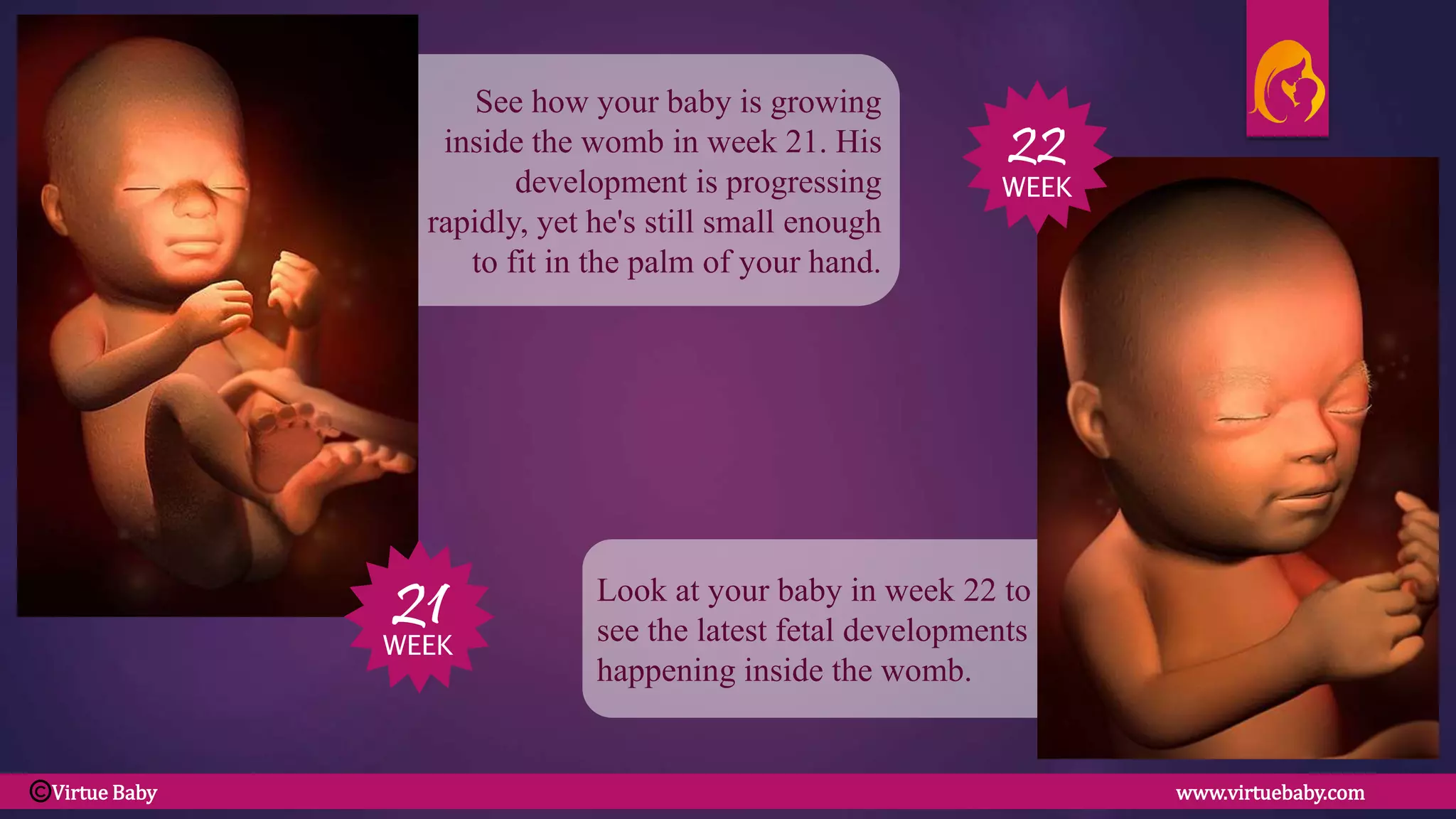 Look at your baby in week 22 to
see the latest fetal developments
happening inside the womb.
See how your baby is growing
inside the womb in week 21. His
development is progressing
rapidly, yet he's still small enough
to fit in the palm of your hand.
21
22
WEEK
WEEK
Virtue Baby www.virtuebaby.comC
 