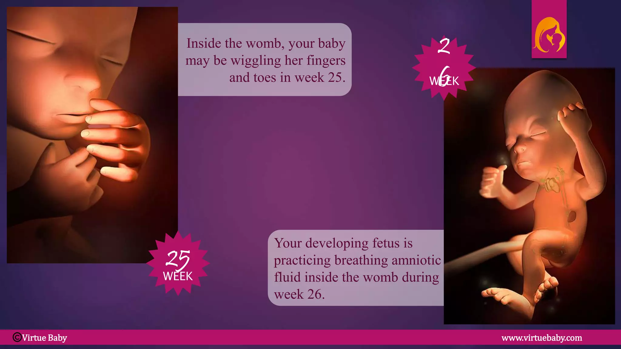Your developing fetus is
practicing breathing amniotic
fluid inside the womb during
week 26.
Inside the womb, your baby
may be wiggling her fingers
and toes in week 25.
25
WEEK
26
WEEK
Virtue Baby www.virtuebaby.comC
 