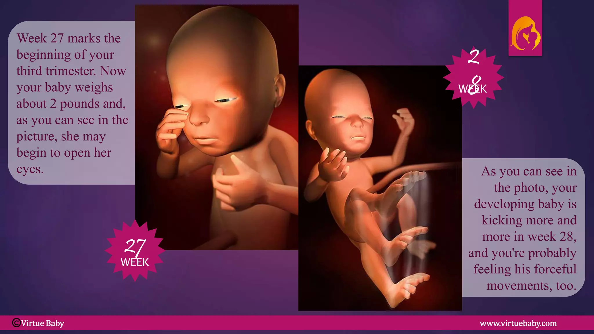 As you can see in
the photo, your
developing baby is
kicking more and
more in week 28,
and you're probably
feeling his forceful
movements, too.
Week 27 marks the
beginning of your
third trimester. Now
your baby weighs
about 2 pounds and,
as you can see in the
picture, she may
begin to open her
eyes.
27
WEEK
28
WEEK
Virtue Baby www.virtuebaby.comC
 