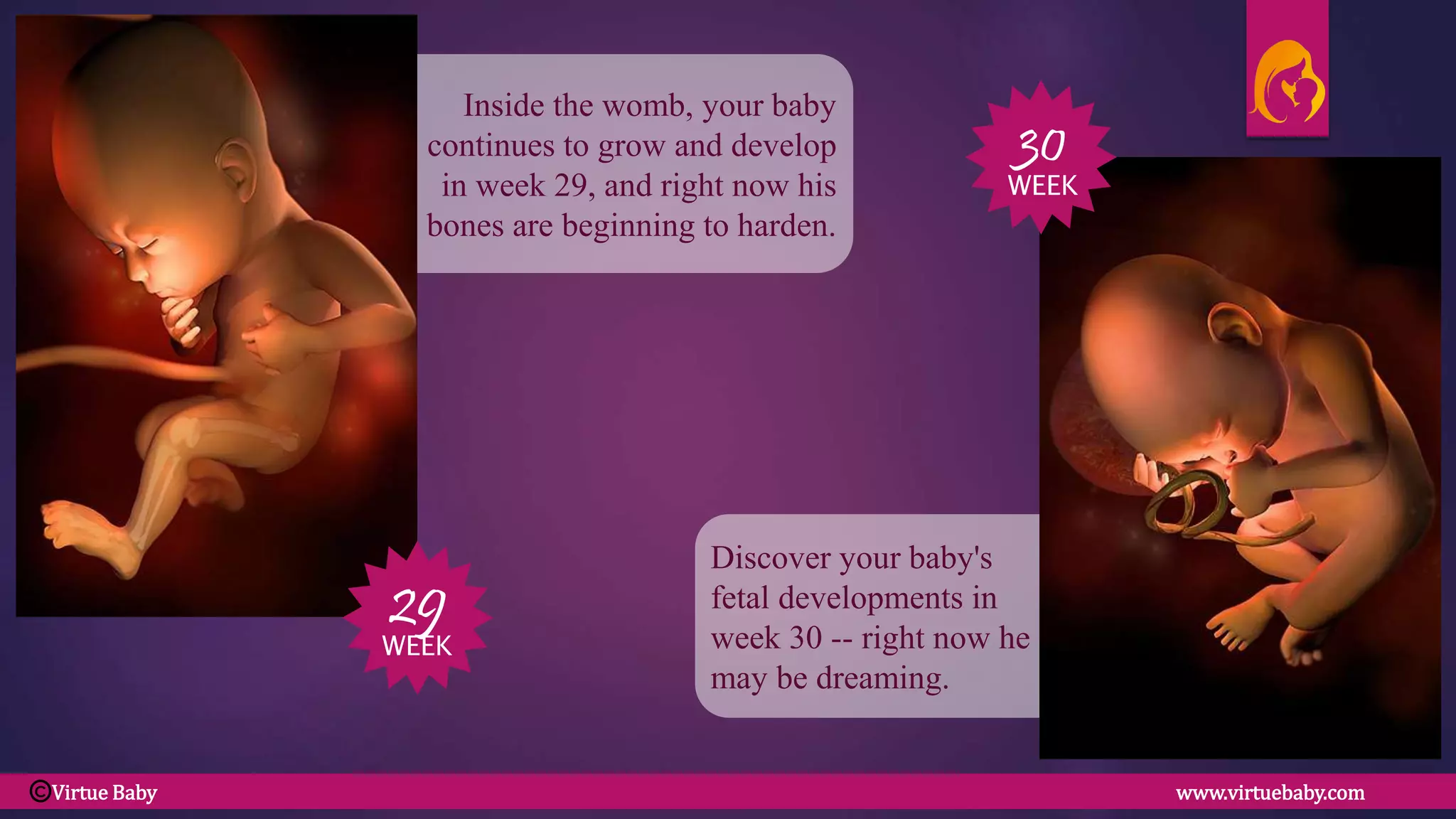 Discover your baby's
fetal developments in
week 30 -- right now he
may be dreaming.
Inside the womb, your baby
continues to grow and develop
in week 29, and right now his
bones are beginning to harden.
29
WEEK
30
WEEK
Virtue Baby www.virtuebaby.comC
 
