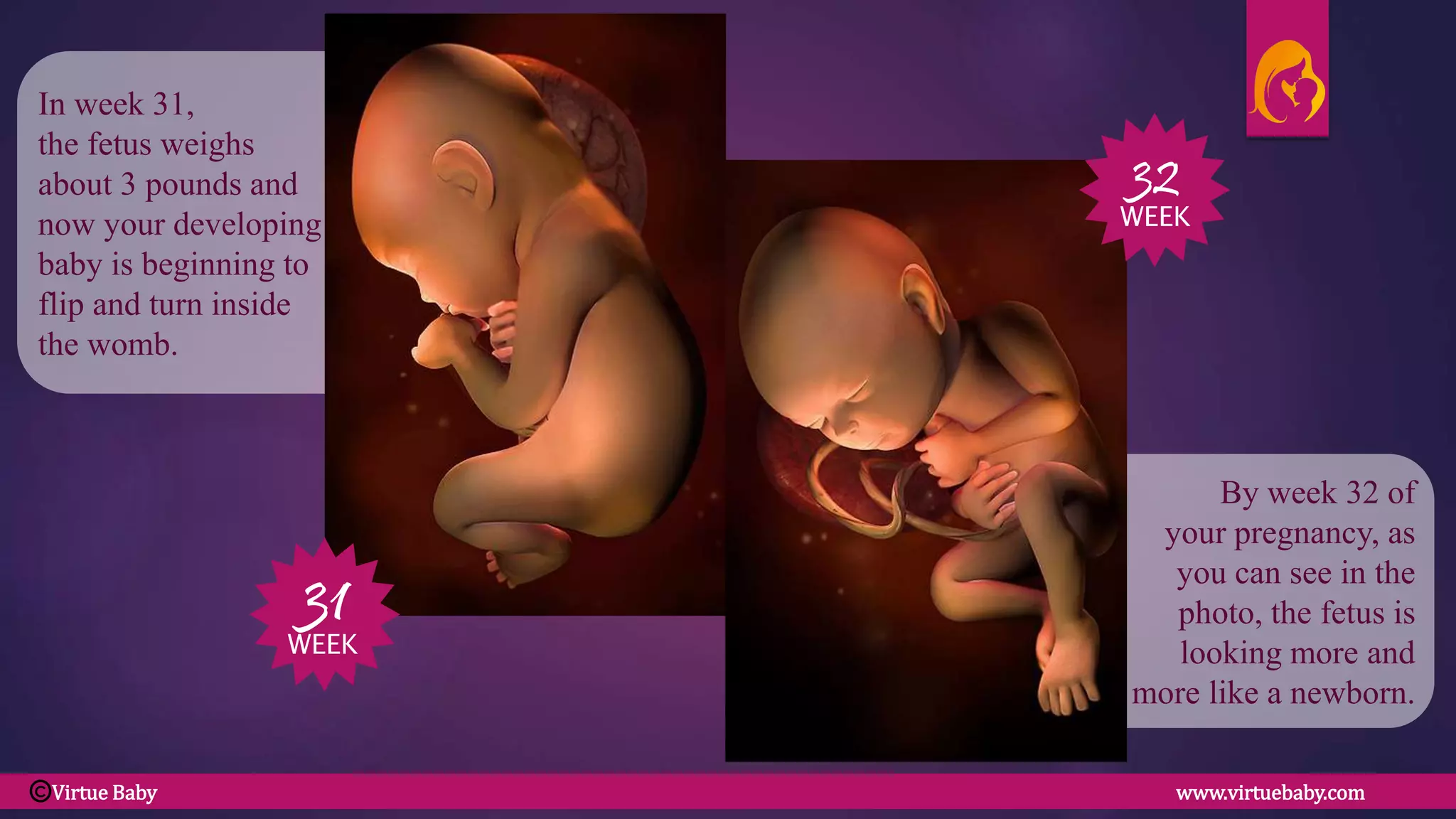 By week 32 of
your pregnancy, as
you can see in the
photo, the fetus is
looking more and
more like a newborn.
In week 31,
the fetus weighs
about 3 pounds and
now your developing
baby is beginning to
flip and turn inside
the womb.
31
WEEK
32
WEEK
Virtue Baby www.virtuebaby.comC
 