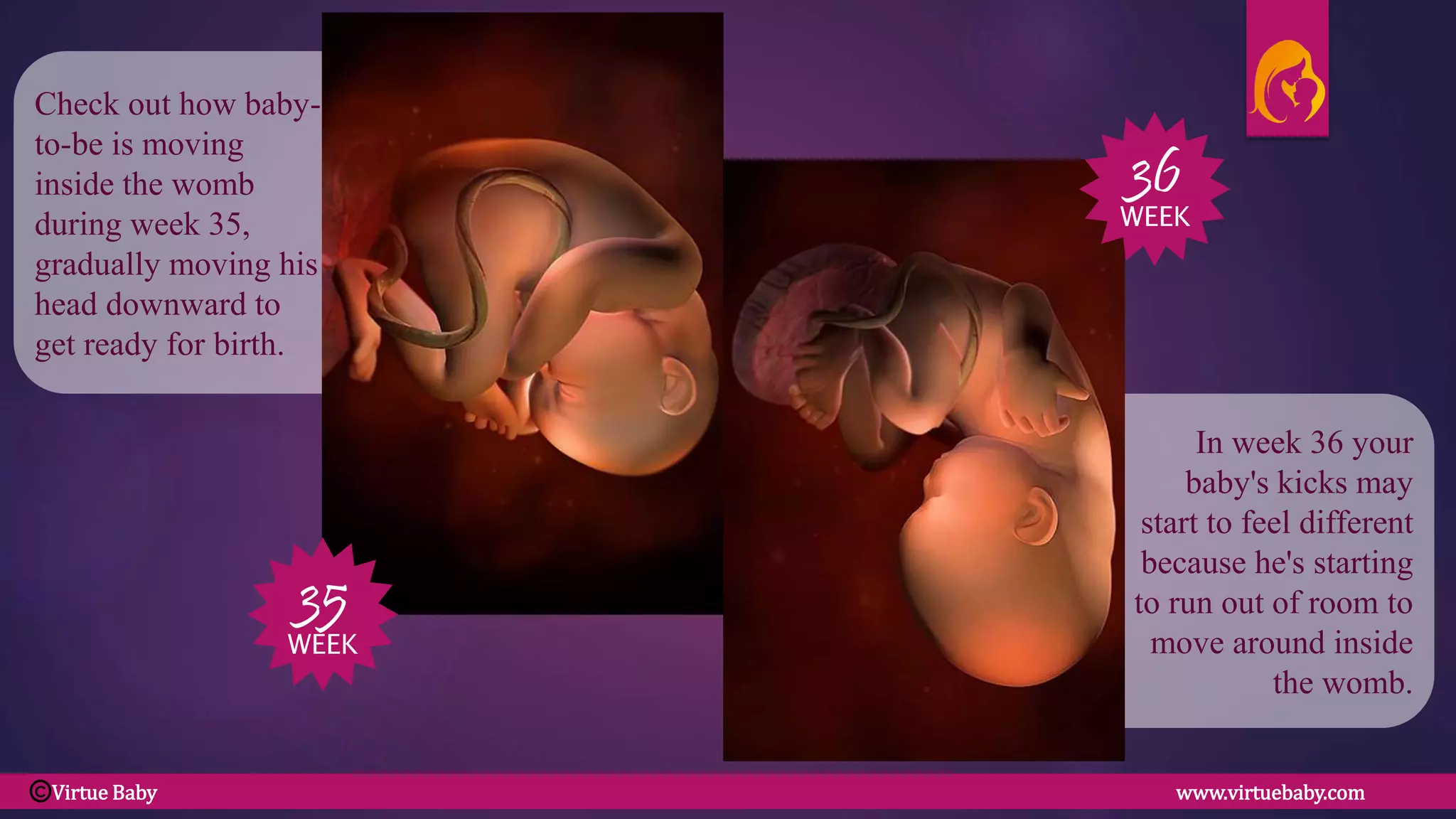 In week 36 your
baby's kicks may
start to feel different
because he's starting
to run out of room to
move around inside
the womb.
Check out how baby-
to-be is moving
inside the womb
during week 35,
gradually moving his
head downward to
get ready for birth.
35
WEEK
36
WEEK
Virtue Baby www.virtuebaby.comC
 