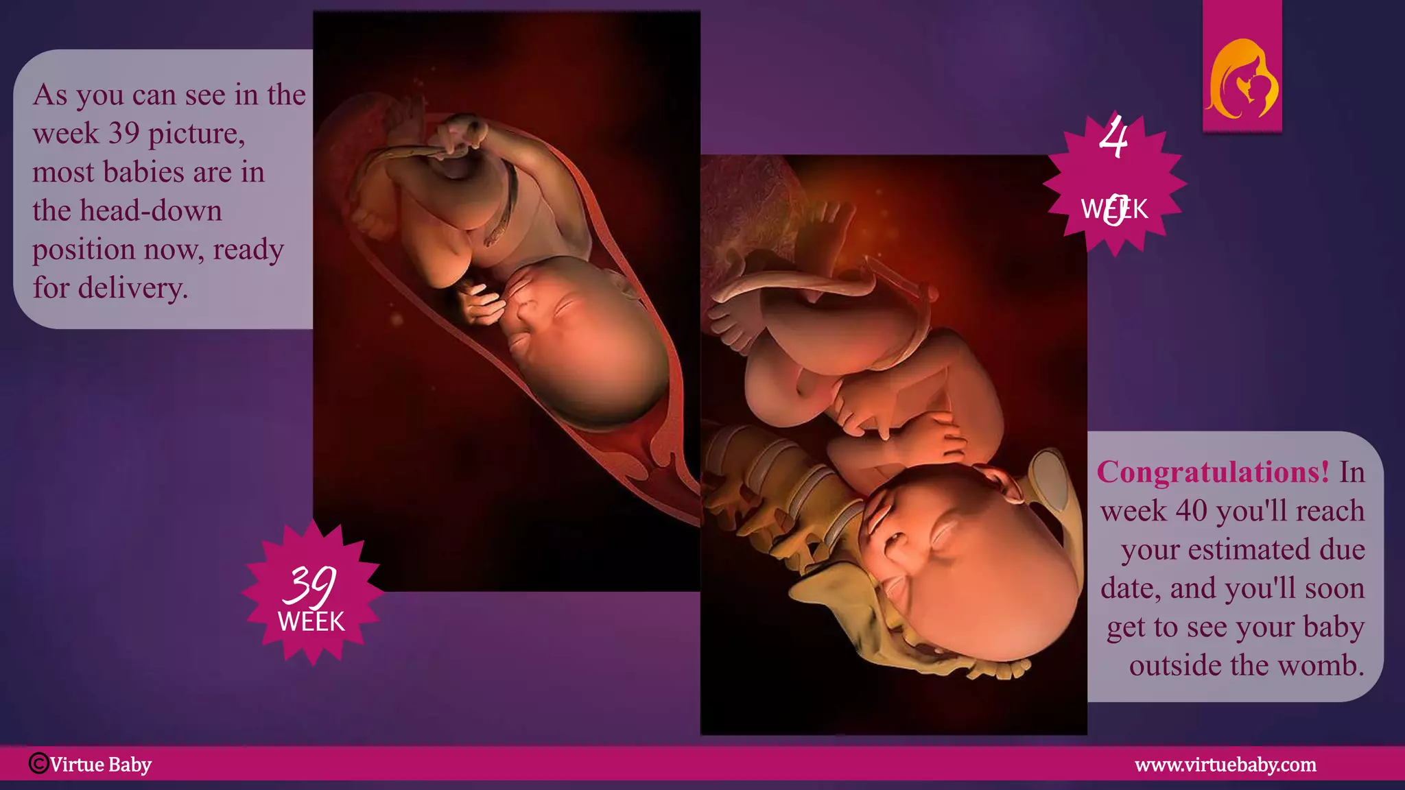 Congratulations! In
week 40 you'll reach
your estimated due
date, and you'll soon
get to see your baby
outside the womb.
As you can see in the
week 39 picture,
most babies are in
the head-down
position now, ready
for delivery.
39
WEEK
40
WEEK
Virtue Baby www.virtuebaby.comC
 