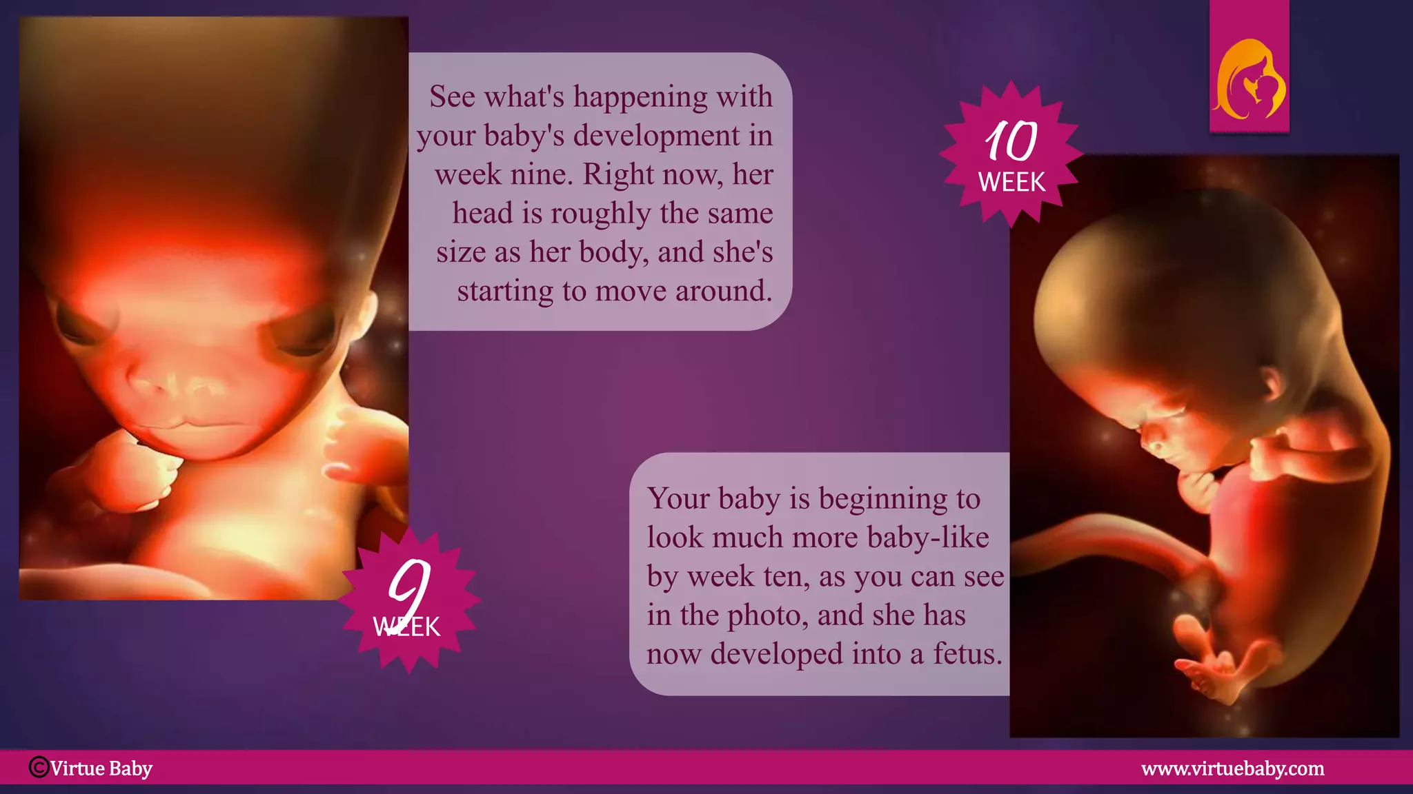 Your baby is beginning to
look much more baby-like
by week ten, as you can see
in the photo, and she has
now developed into a fetus.
See what's happening with
your baby's development in
week nine. Right now, her
head is roughly the same
size as her body, and she's
starting to move around.
9
10
WEEK
WEEK
Virtue Baby www.virtuebaby.comC
 