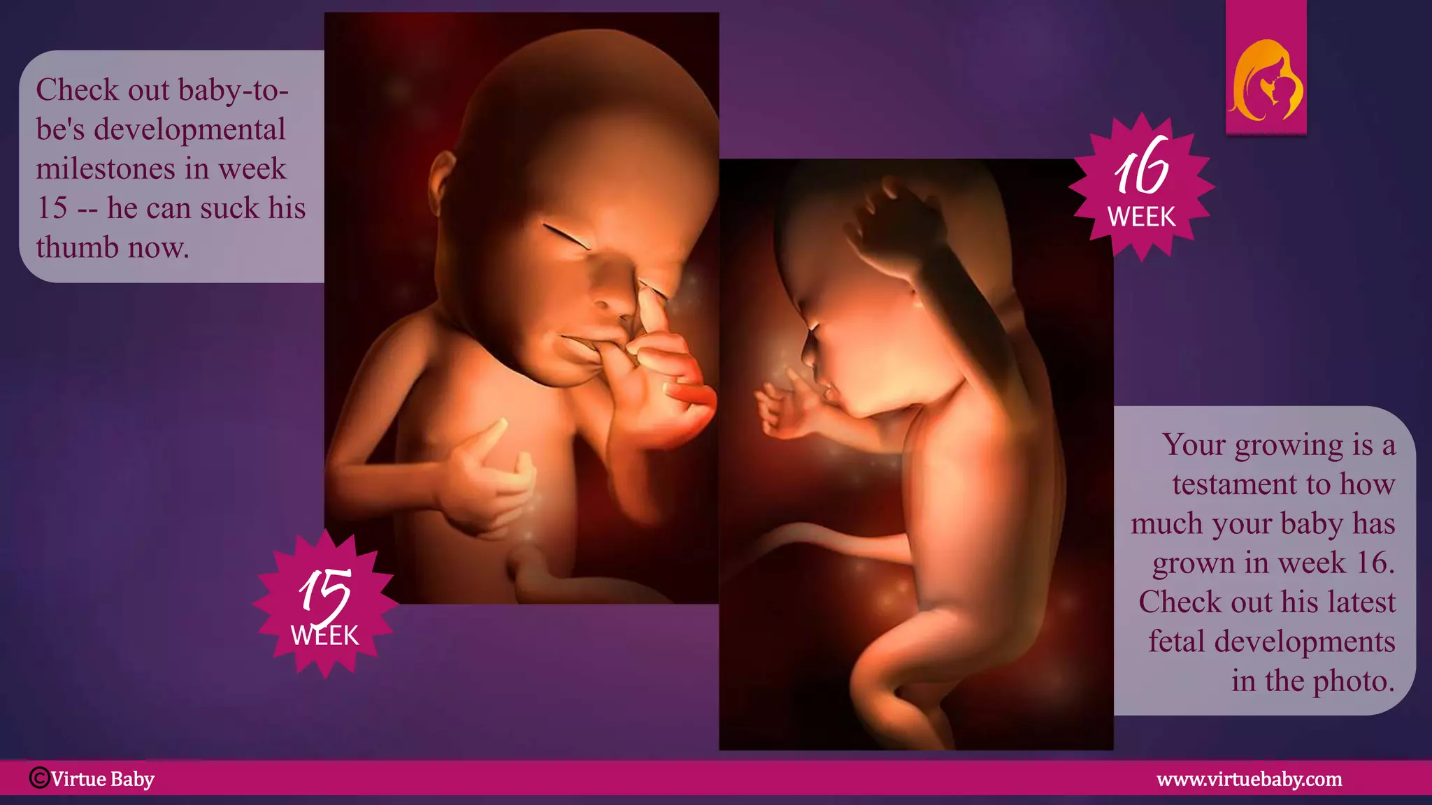 Your growing is a
testament to how
much your baby has
grown in week 16.
Check out his latest
fetal developments
in the photo.
Check out baby-to-
be's developmental
milestones in week
15 -- he can suck his
thumb now.
15
16
WEEK
WEEK
Virtue Baby www.virtuebaby.comC
 