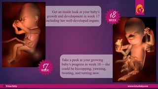Take a peek at your growing
baby's progress in week 18 -- she
could be hiccupping, yawning,
twisting, and turning now.
Get an inside look at your baby's
growth and development in week 17
including her well-developed organs.
17
18
WEEK
WEEK
Virtue Baby www.virtuebaby.comC
 