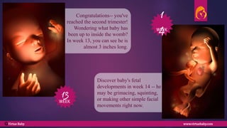 Discover baby's fetal
developments in week 14 -- he
may be grimacing, squinting,
or making other simple facial
movements right now.
13
14
WEEK
WEEK
Congratulations-- you've
reached the second trimester!
Wondering what baby has
been up to inside the womb?
In week 13, you can see he is
almost 3 inches long.
Virtue Baby www.virtuebaby.comC
 