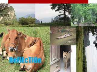 ReFlEcTiOn