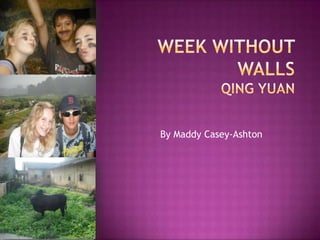 Week Without WallsQing Yuan By Maddy Casey-Ashton 