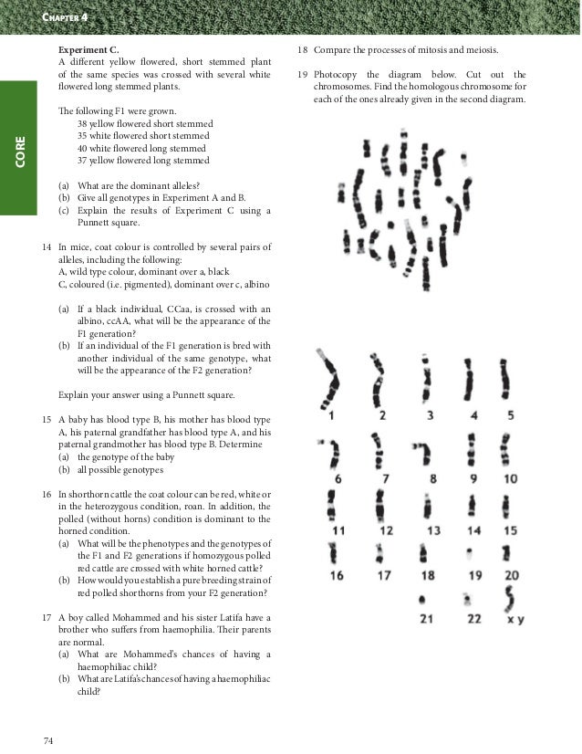 Weem Biology International Baccalaureate