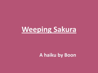 Weeping Sakura A haiku by Boon 