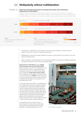 The Global Risks Report 2026 - World Economic Forum | PDF