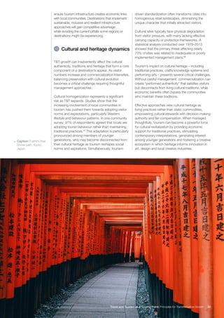 Travel and Tourism at a Turning Point: Principles for Transformative ...