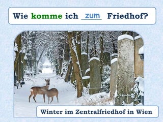 Wie komme ich _____ Friedhof?zum
Winter im Zentralfriedhof in Wien
 
