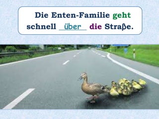 Die Enten-Familie geht
schnell _______ die Straβe.über
 