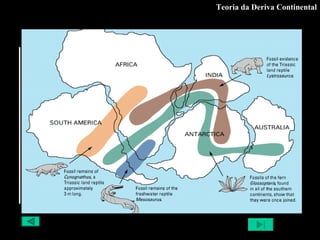 Teoria da Deriva Continental Através do estudo de fósseis, Wegener encontrou, nos actuais continentes, vários exemplares dos mesmos fósseis, que demonstra uma distribuição de seres vivos, no passado, em continentes que, actualmente, se encontram muito afastados . 