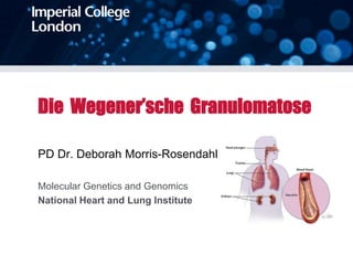 Die Wegener’sche Granulomatose
PD Dr. Deborah Morris-Rosendahl
Molecular Genetics and Genomics
National Heart and Lung Institute
 