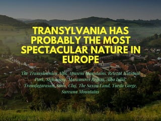 We have a plan - Move to Transylvania