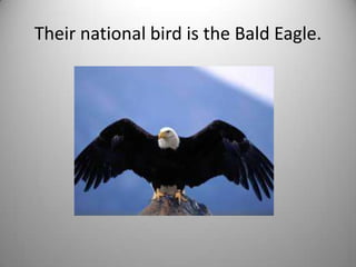 Their national bird is the Bald Eagle.
 