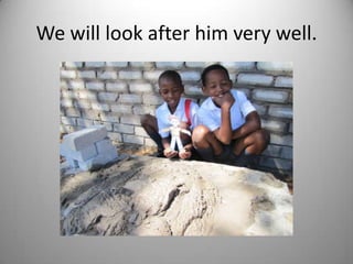 We will look after him very well.
 