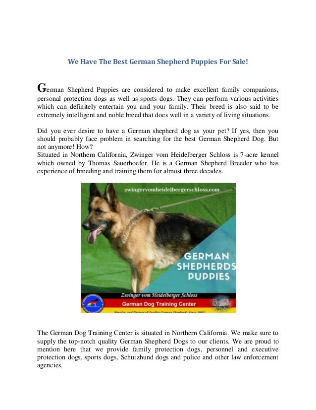 protection german shepherd puppies for sale