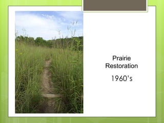 Prairie
Restoration

 1960’s
 