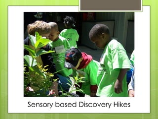 Sensory based Discovery Hikes
 