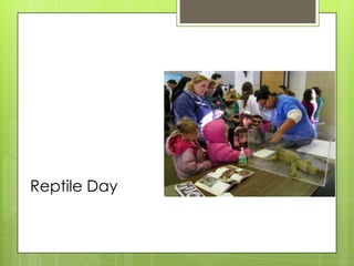 Reptile Day
 