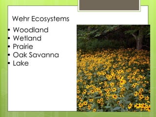 Wehr Ecosystems
• Woodland
• Wetland
• Prairie
• Oak Savanna
• Lake
 